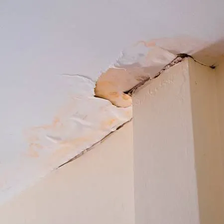 Los Angeles Water Damage Restoration and Mold Inspections Picture 5