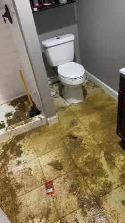 Los Angeles Water Damage Restoration and Mold Inspections Picture 1