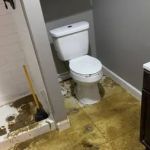 Los Angeles Water Damage Restoration and Mold Inspections
