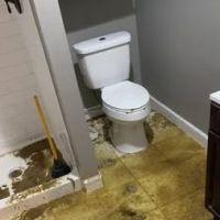 Los Angeles Water Damage Restoration and Mold Inspections ico