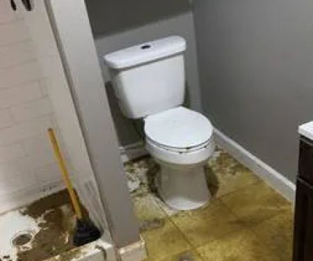 Los Angeles Water Damage Restoration and Mold Inspections