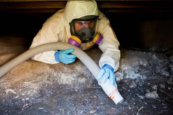 Los Angeles Water Damage Restoration and Mold Inspections Picture 2