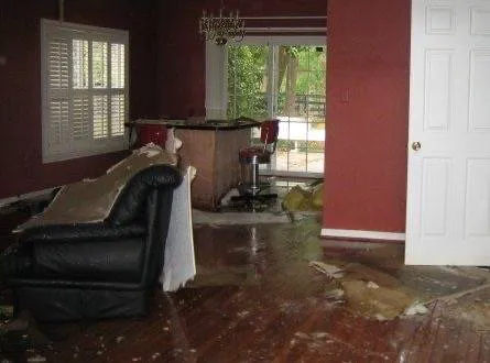 Los Angeles Water Damage Restoration and Mold Inspections Picture 10