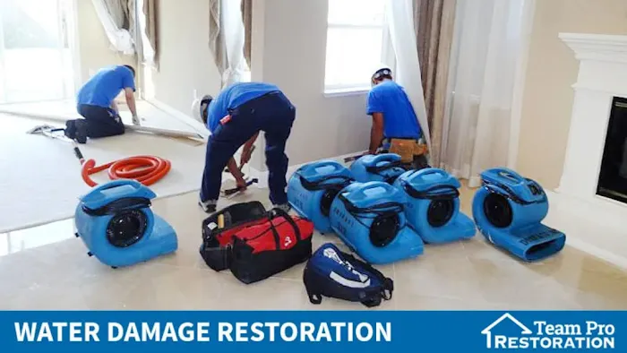 Team Pro Restoration Picture 7