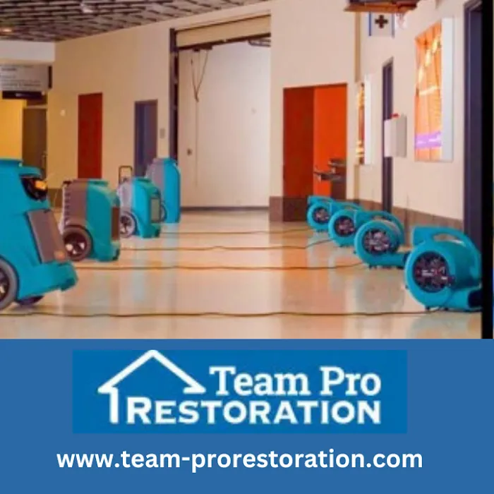 Team Pro Restoration Picture 10