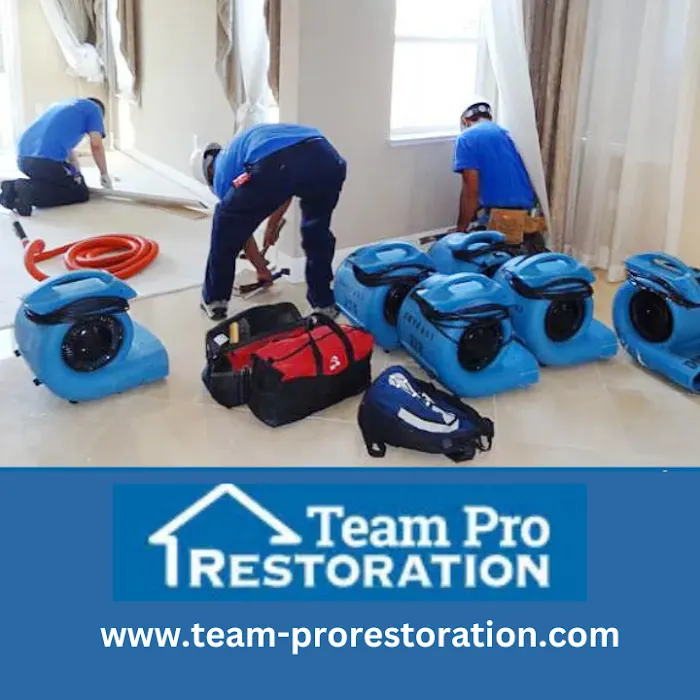 Team Pro Restoration Picture 9