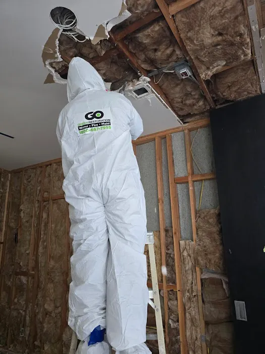 Go Green Restoration West Covina Picture 8