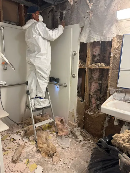 Go Green Restoration West Covina Picture 1