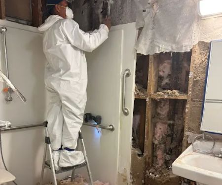 Go Green Restoration West Covina