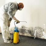 Air Clean Environmental Consultant Los Angeles- Mold inspection & Lead Asbestos Removal