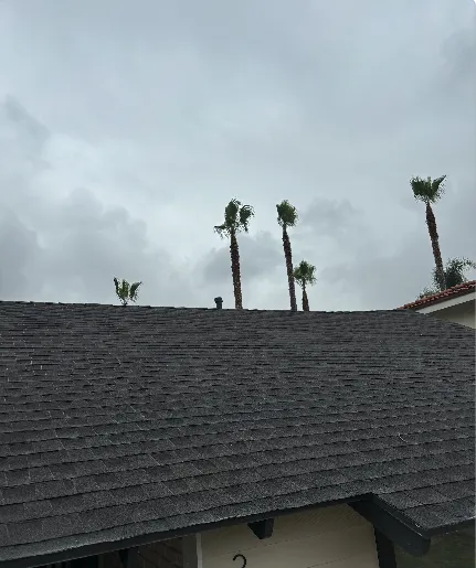 All & One Restoration and Construction Picture 9