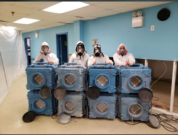 Begin Again Decon Picture 10