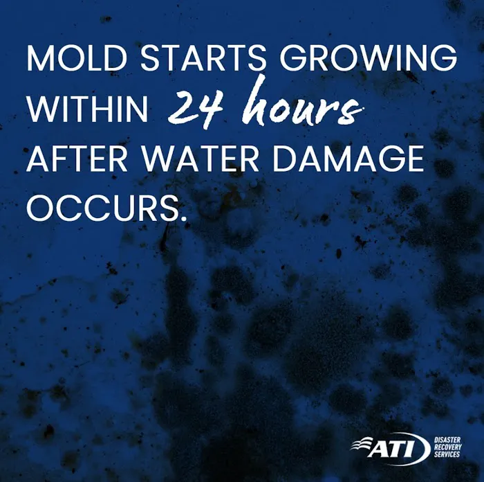 ATI Restoration Picture 3