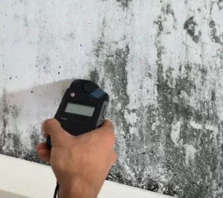 THE WATER DAMAGE COMPANY LLC Picture 1