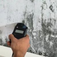 THE WATER DAMAGE COMPANY LLC ico