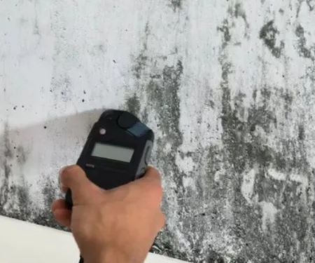 THE WATER DAMAGE COMPANY LLC