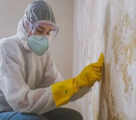 THE WATER DAMAGE COMPANY LLC Picture 2