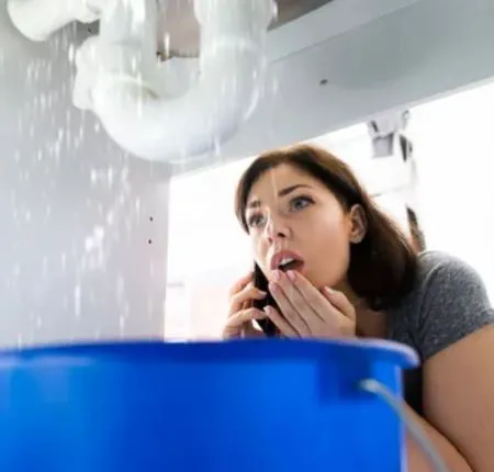 THE WATER DAMAGE COMPANY LLC Picture 3