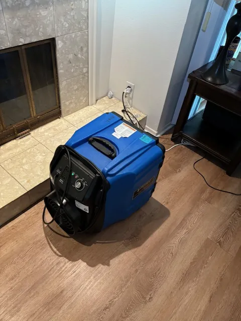 MDM Restoration Picture 3