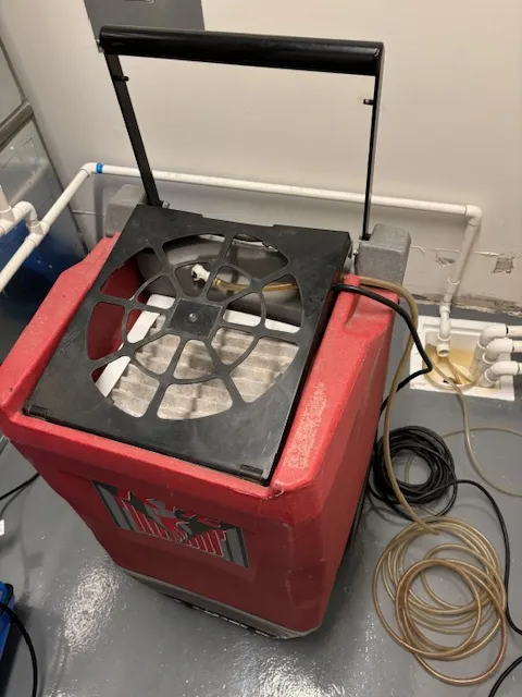 MDM Restoration Picture 9