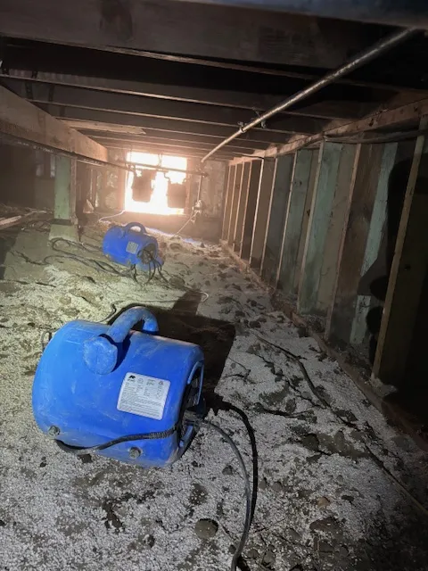 MDM Restoration Picture 8