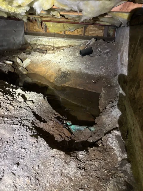 MDM Restoration Picture 5