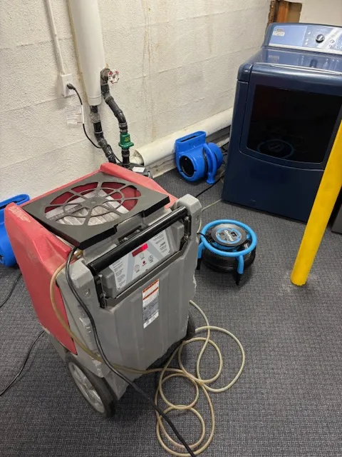 MDM Restoration Picture 10