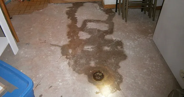 Roof Leak Restoration Experts Picture 1