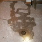 Roof Leak Restoration Experts
