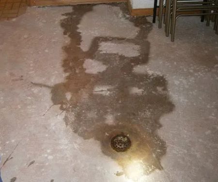 Roof Leak Restoration Experts