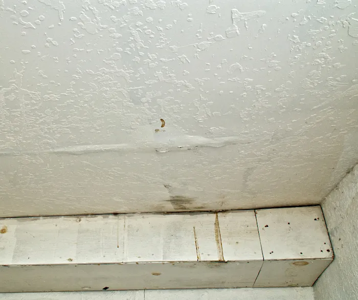 Roof Leak Restoration Experts Picture 3