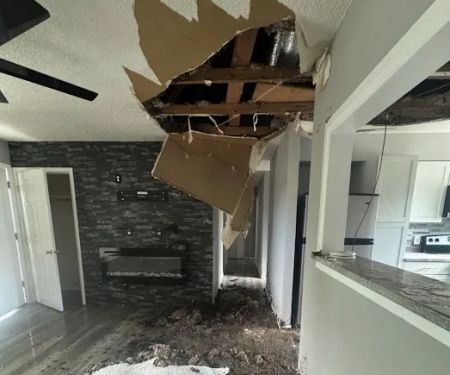 IN & OUT Water Damage Restoration of Torrance