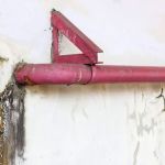 TFM Mold and Water Damage