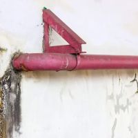 TFM Mold and Water Damage ico