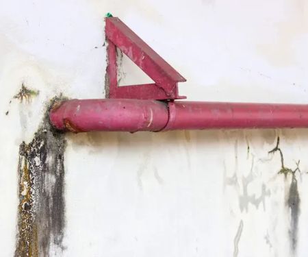 TFM Mold and Water Damage