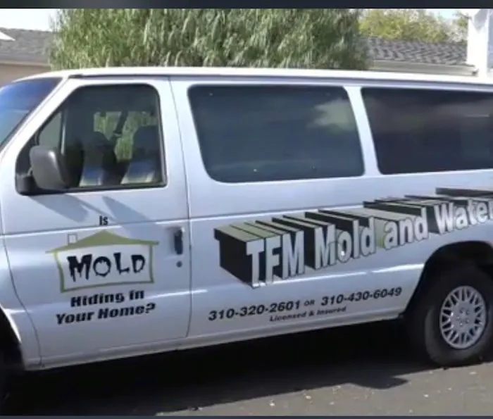 TFM Mold and Water Damage Picture 2