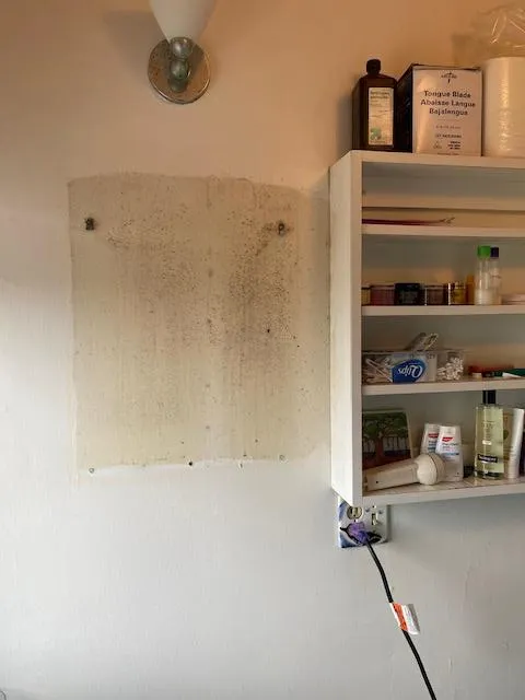 TFM Mold and Water Damage Picture 3