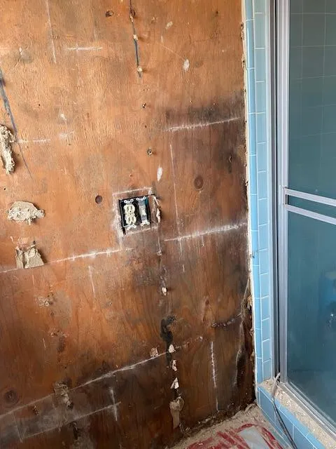 TFM Mold and Water Damage Picture 6