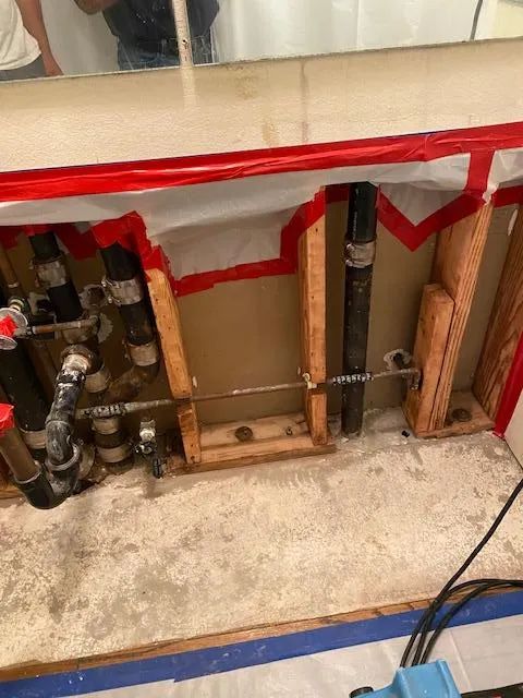 TFM Mold and Water Damage Picture 9