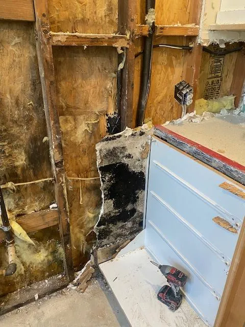 TFM Mold and Water Damage Picture 4