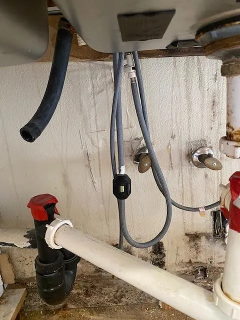 TFM Mold and Water Damage Picture 8