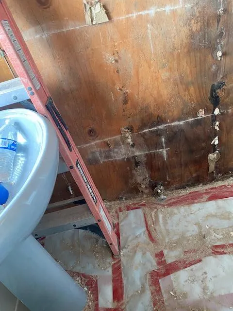 TFM Mold and Water Damage Picture 5