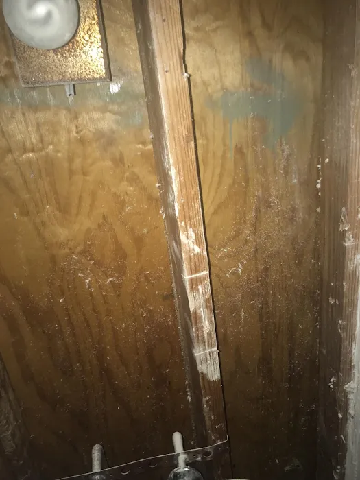 TFM Mold and Water Damage Picture 10