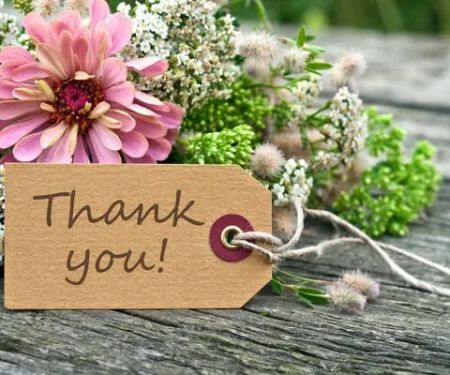 Mitigation - 1st Plumber Leak Detection & Water Damage Restoration, Construction, Home Builder, Drywall South Bay Area