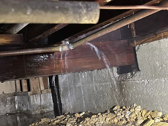 1st Tech Restoration Picture 7