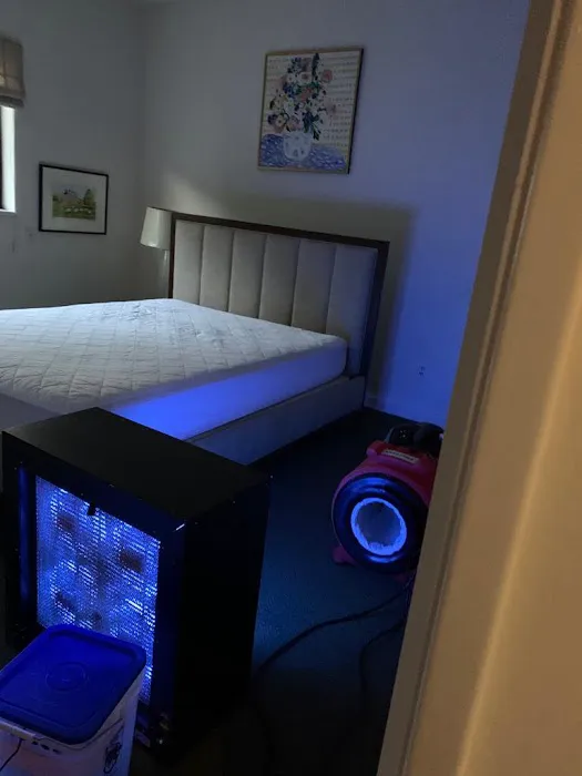 ServiceMaster Restore by Masters Picture 7