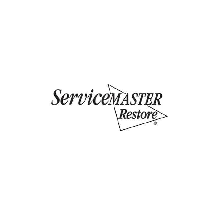 ServiceMaster Restore by Masters Picture 5