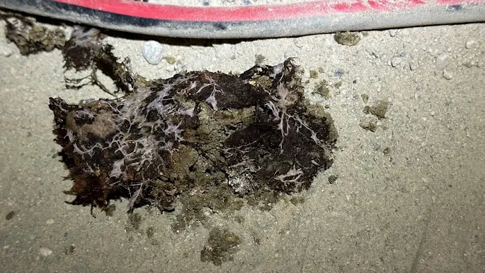 Hydro Hero Restoration Picture 2