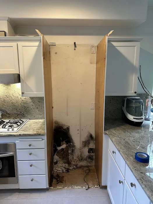 Hydro Hero Restoration Picture 4