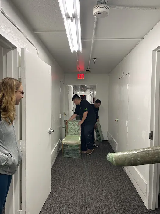 LimeGreen Water Damage & Restoration Picture 2